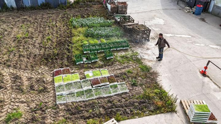 Vente de fruits et légumes Le Havre