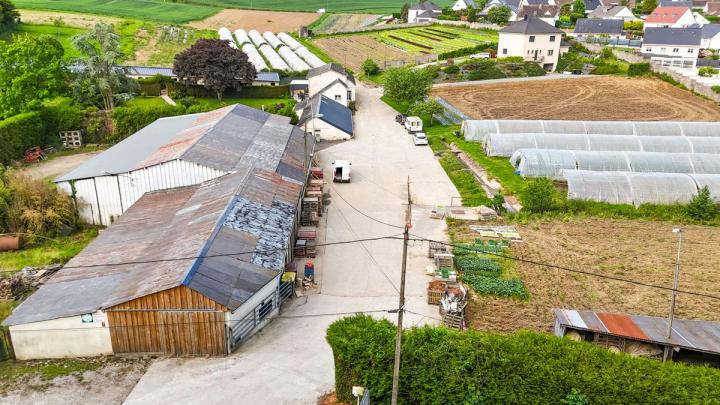 Producteur fruits et légumes Le Havre